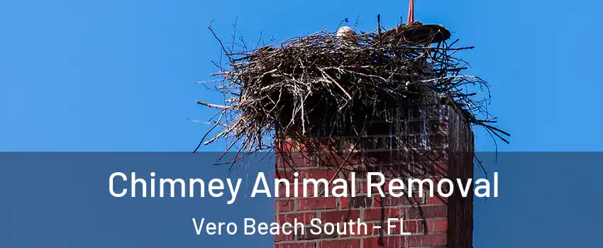  Chimney Animal Removal Vero Beach South - FL