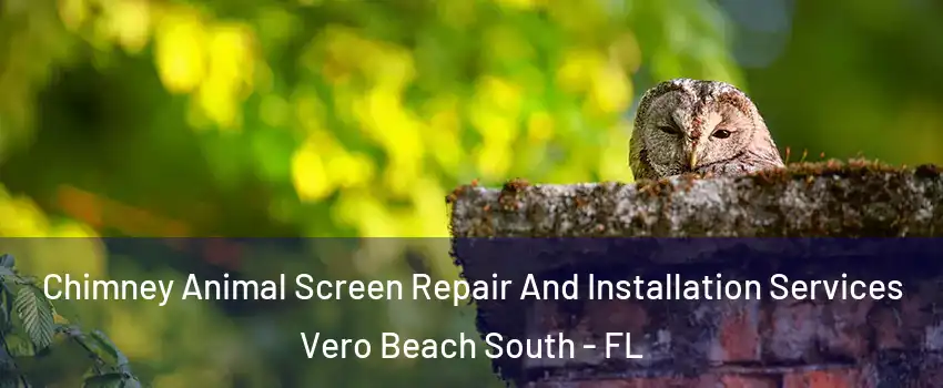  Chimney Animal Screen Repair And Installation Services Vero Beach South - FL