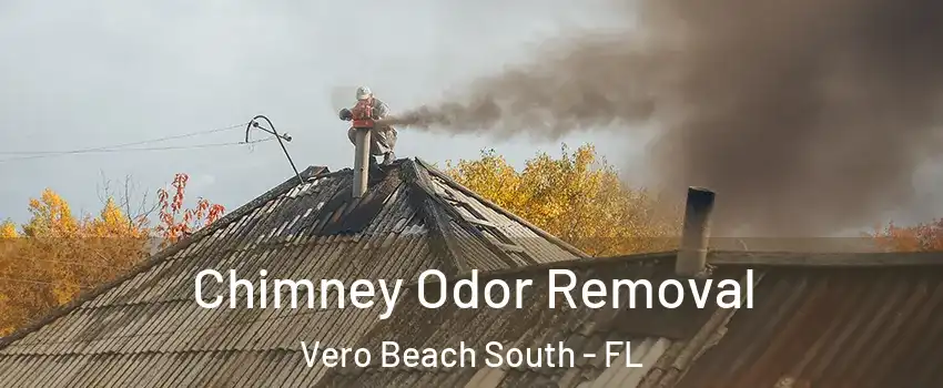  Chimney Odor Removal Vero Beach South - FL