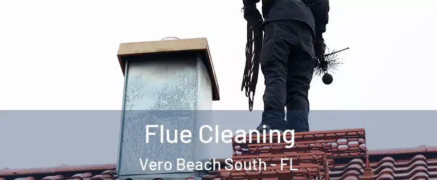  Flue Cleaning Vero Beach South - FL